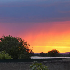 am Abend über die Gartenmauer geguckt