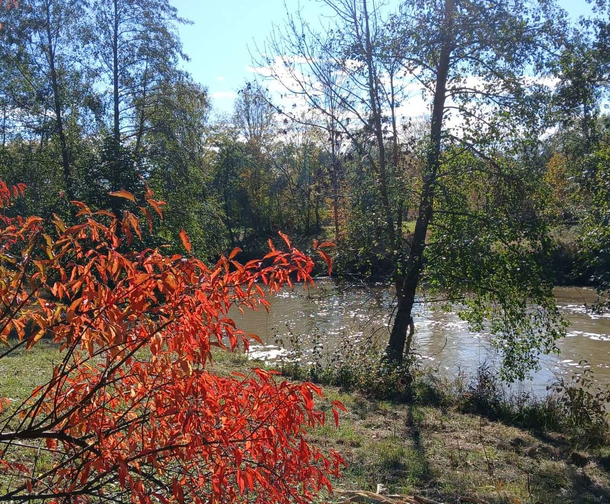 Lafnitz - Herbststimmung